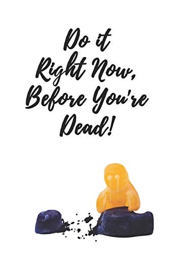 Do it Right Now Before You're Dead - A Bucket List to Cheer Up the Melancholy and Macabre A Useful Bucket List Featuring a Humorous Cover Design for Looking on The Bright Side of Life. For Planning All of Lifes Adventures, Dreams, Goals and Affirmations!