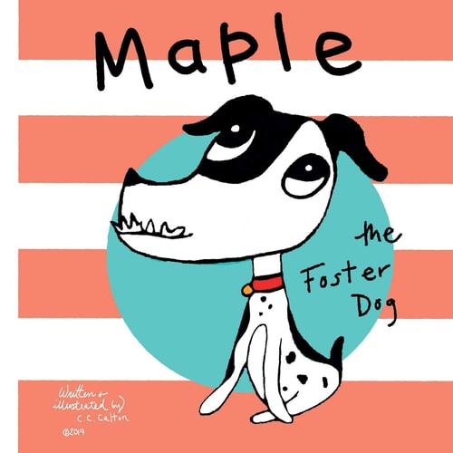 Maple the Foster Dog