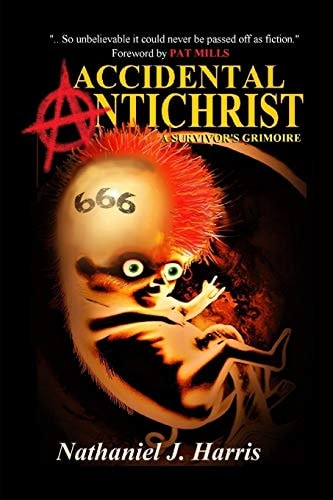 Accidental Antichrist A Survivor's Grimoire