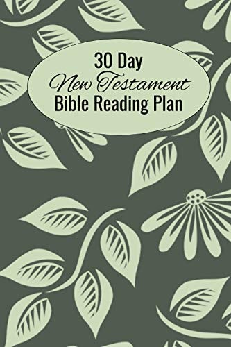 30 Day New Testament Bible Reading Plan Daily Devotional With Scripture Reading And Writing Prompts (6"x9", 15.24 X 22.86 Cm)