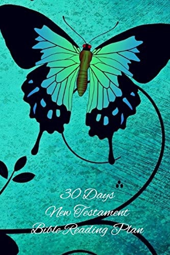 30 Days New Testament Bible Reading Plan Daily Devotional With Scripture Reading And Writing Prompts (6"x9", 15.24 X 22.86 Cm)