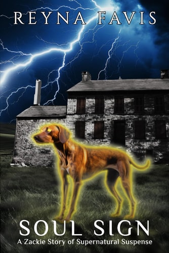 Soul Sign A Zackie Story