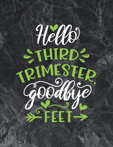 Hello Third Trimester Goodbye Feet Pregnancy Gifts for Mom Pregnancy Day by Day Book