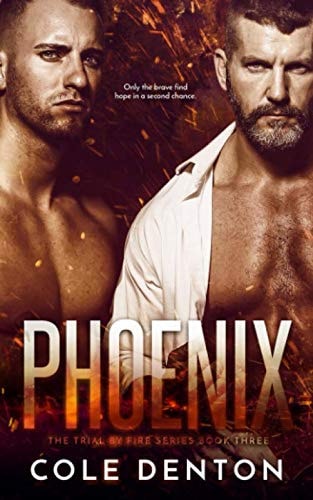 Phoenix The Trial by Fire Series Book Three