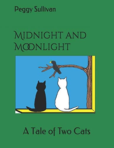 Midnight and Moonlight A Tale of Two Cats