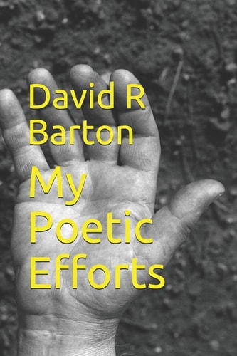 My Poetic Efforts