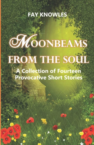 Moonbeams from the Soul A Collection of Fourteen Provocative Short Stories