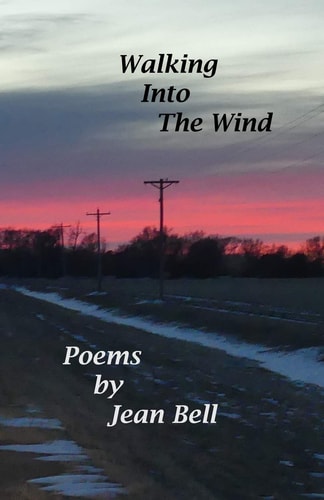 Walking Into the Wind