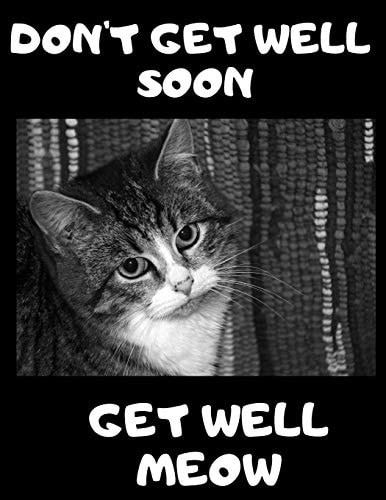 Don't Get Well Soon Get Well Meow 100 Easy Sudoku Puzzle Large Print Book - Cute Kitten Funny Get Well Gift For Women After Surgery