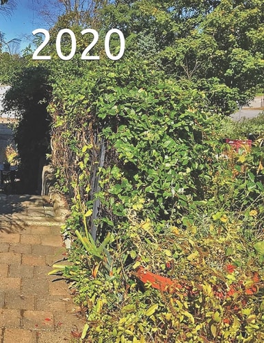 2020