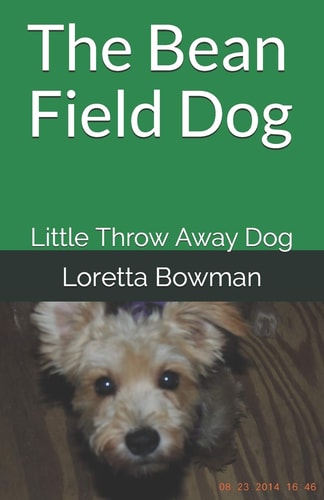 The Bean Field Dog Little Throw Away Dog