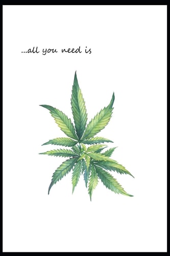 ... All You Need Is Marijuana Documenting Ideas During Cannabis Smoke Sessions