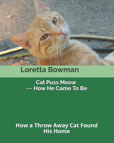 Cat Puss Meow How He Came To Be How a Throw Away Cat Found His Home
