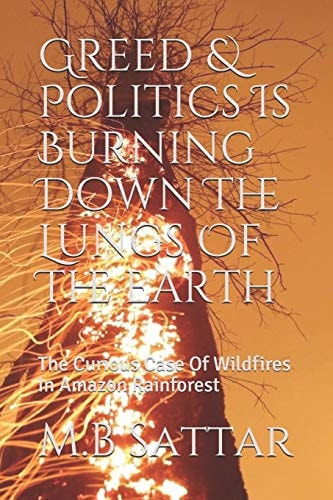 Greed & Politics Is Burning Down The Lungs Of The Earth The Curious Case Of Wildfires In Amazon Rainforest