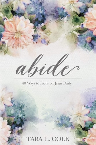 Abide 40 Ways to Focus on Jesus Daily