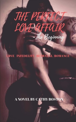 The Perfect Love Affair The Beginning