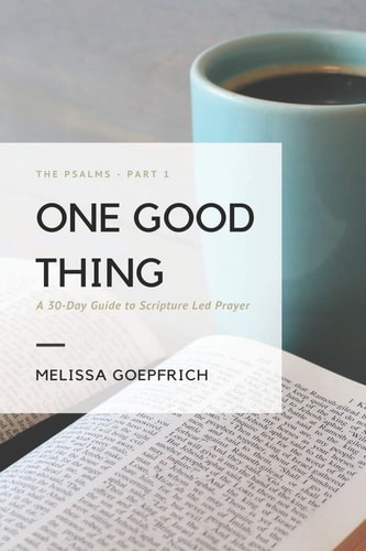 One Good Thing A 30 Day Guide to Scripture Led Prayer: The Psalms - Part 1