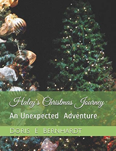 Haley's Christmas Journey An Unexpected Adventure