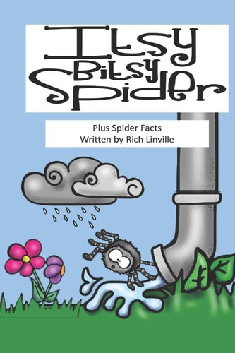 Itsy Bitsy Spider Plus Spider Facts