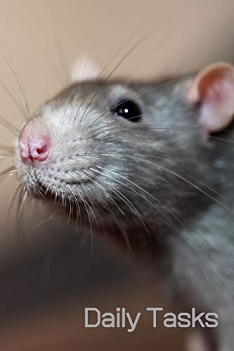Daily Tasks (6x9inch) Cute Rat Book; Daily Checklist for Organisation; Cute Book for Rat Lovers; 6x9inch