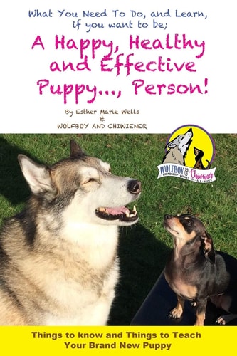 A Happy, Healty Healthy and Effective Puppy... , Person! Things to Know and Teach Your Brand New Puppy