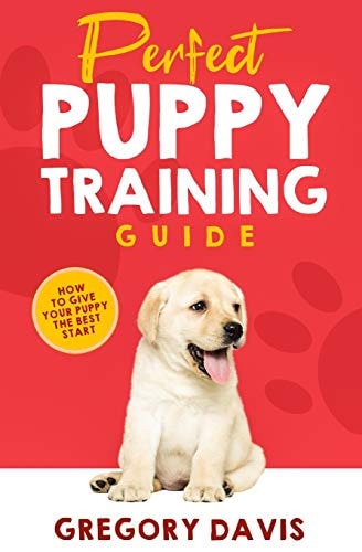 Perfect Puppy Training Guide How To Give Your Puppy The Best Start