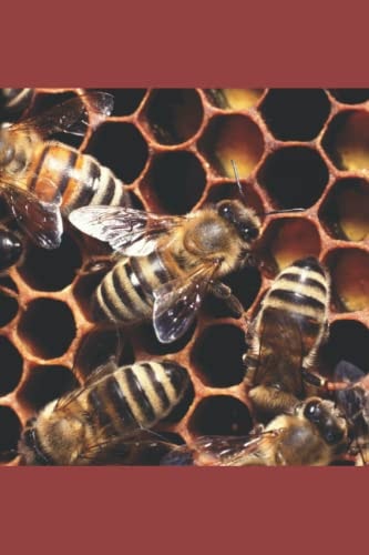 The Beekeeper Lady Memoir of Martha Pemberton+ A.K.A. "Matt King"