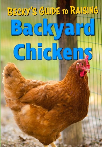 Becky's Guide to Raising Backyard Chickens