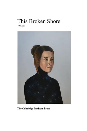 This Broken Shore 2019