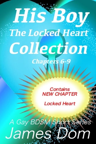 His Boy The Locked Heart Collection: a Gay BDSM Short Story Series