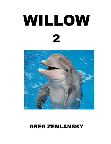 Willow 2