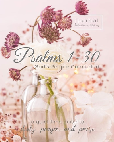 Psalms 1-30 God's People Comforted