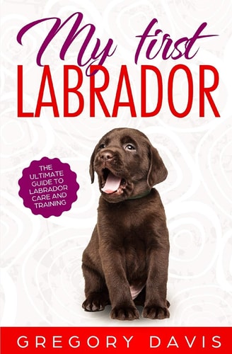 My First Labrador The Ultimate Guide to Labrador Care and Training