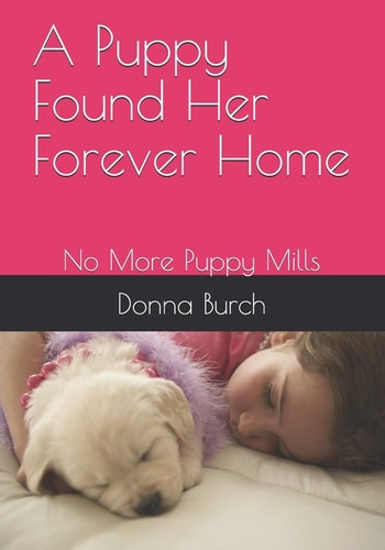 A Puppy Found Her Forever Home No More Puppy Mills