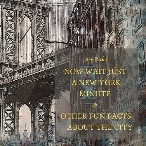 NOW WAIT JUST a NEW YORK MINUTE and OTHER FUN FACTS about the CITY Your Guide to Faking It with the Best of New Yorkers