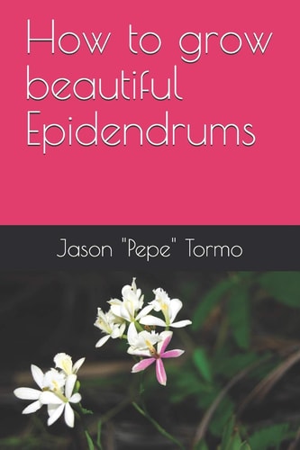 How to Grow Beautiful Epidendrums