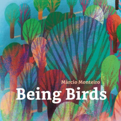 Being Birds A Picture Book for Grown People