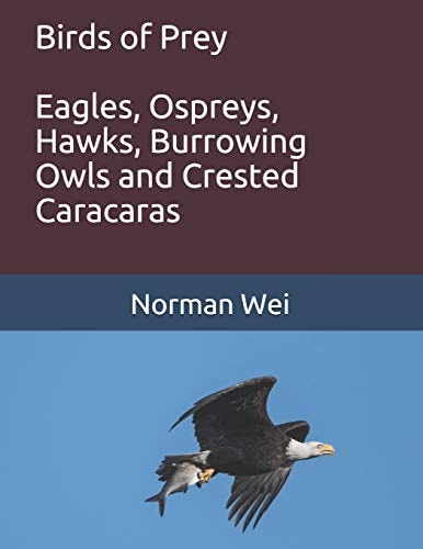 Birds of Prey Eagles, Ospreys, Hawks, Burrowing Owls and Crested Caracaras