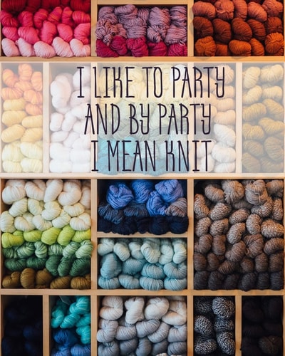 I Like to Party and by Party I Mean Knit Knitting Graph Paper 2:3 & 4:5 Ratio 8" X 10" 200 Pages