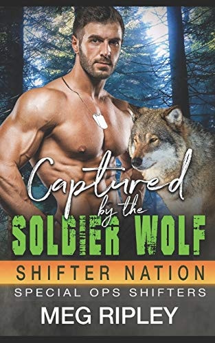 Captured By The Soldier Wolf