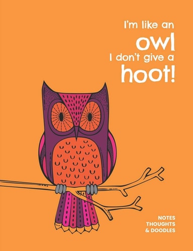 I'm Like an Owl I Don't Give a Hoot! Notes, Thoughts & Doodles