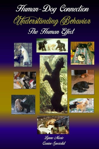 Understanding Behavior The Human Effect