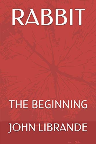 Rabbit The Beginning