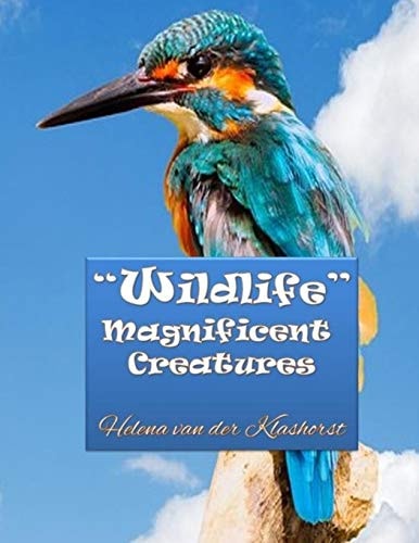 Wildlife Magnificent Creatures Grayscale Coloring