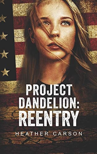 Project Dandelion Reentry