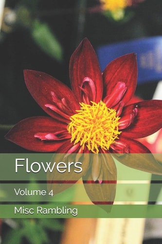 Flowers Volume 4