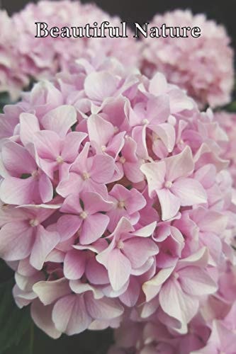 Beautiful Nature For School and Notes, Gifts, 6" X 9" 120 Pages Checkered