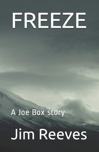 Freeze A Joe Box Story