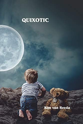 Quixotic A Collection Of Poems
