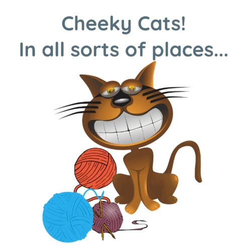 Cheeky Cats! In All Sorts Of Places...